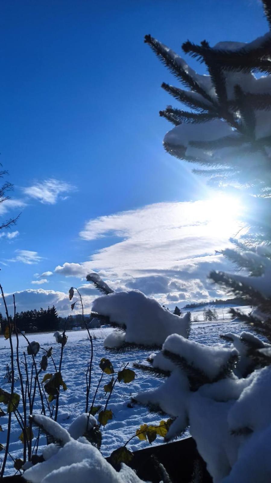Agroturystyka Sielska Kraina Zabkowice Slaskie Exterior foto